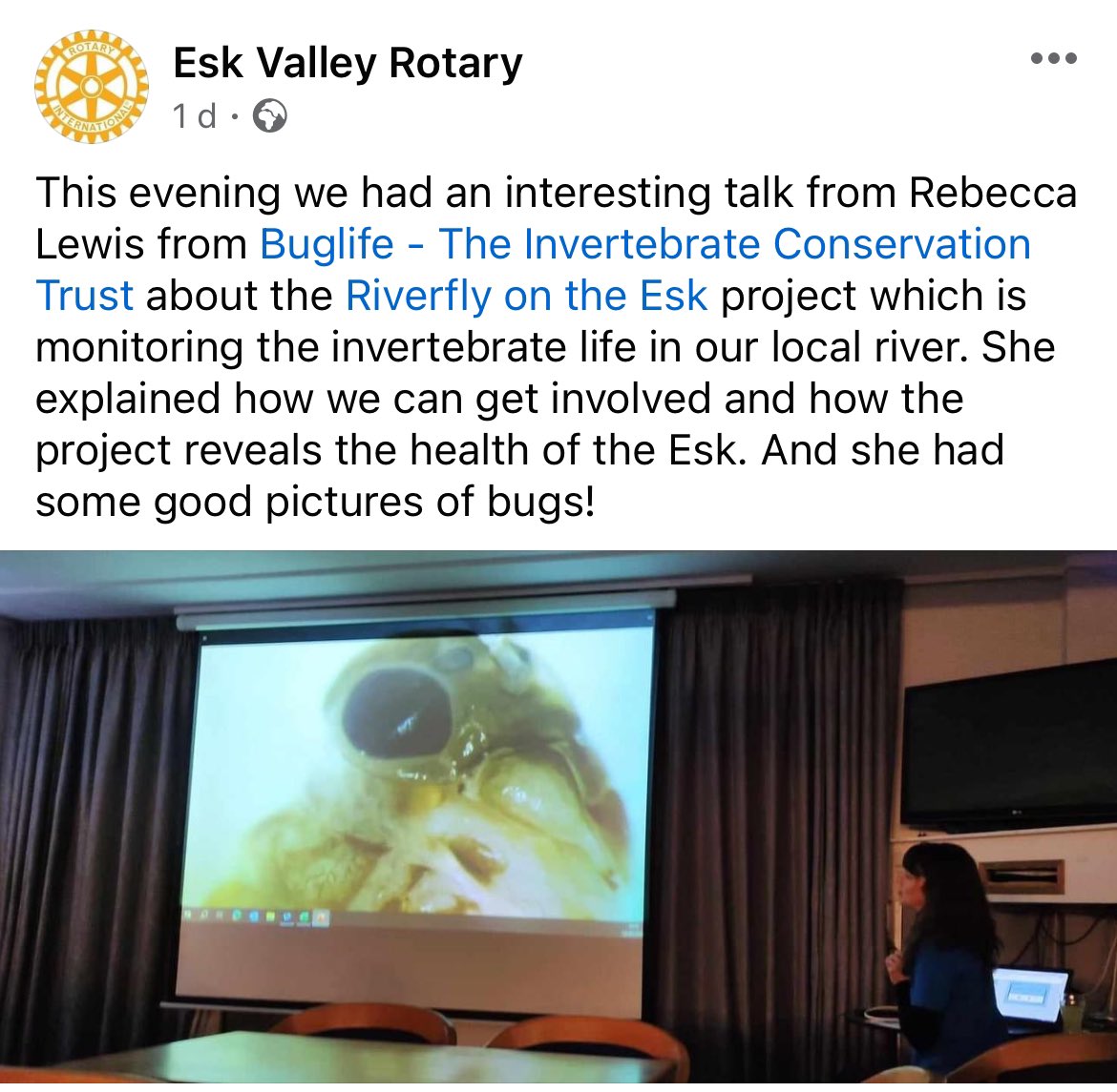 Fantastic to be able to share our project work with members of the <a href="/EskValleyRotary/">Esk Valley Rotary</a> and the work across Scotland <a href="/Buzz_dont_tweet/">Buglife</a> <a href="/BuglifeScotland/">BuglifeScotland</a>.