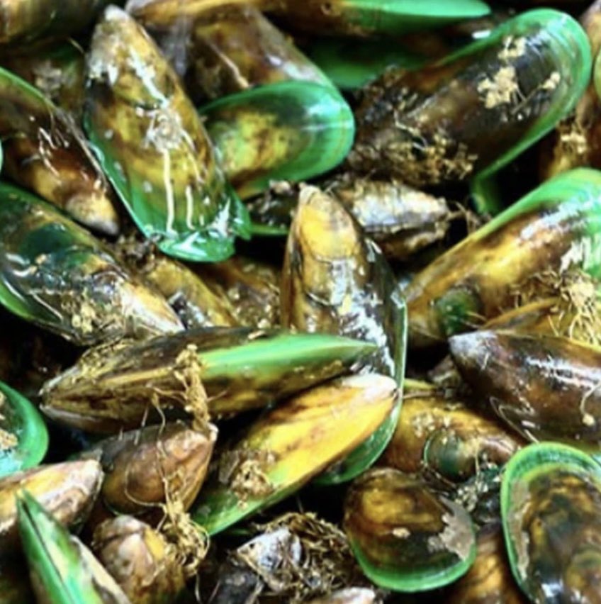 🌊 Dive into the ocean of flavor with New Zealand’s 1/2 shell green lipped mussels! Did you know they’re packed with omega-3s for a healthy heart? Instore & online now ✨ #seasiderseafoods #omega3 #healthy #instore #online #mussels #followthefish