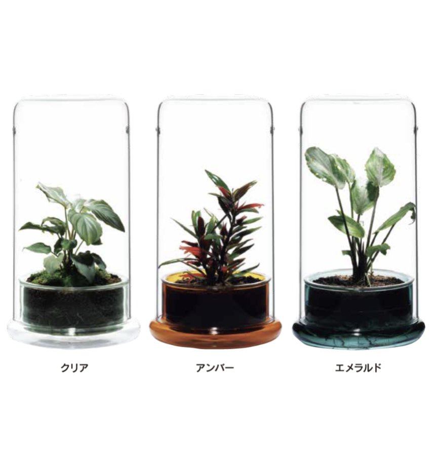 DOOAから新発売のガラスポットCELLは植物をじっくり育てるツール