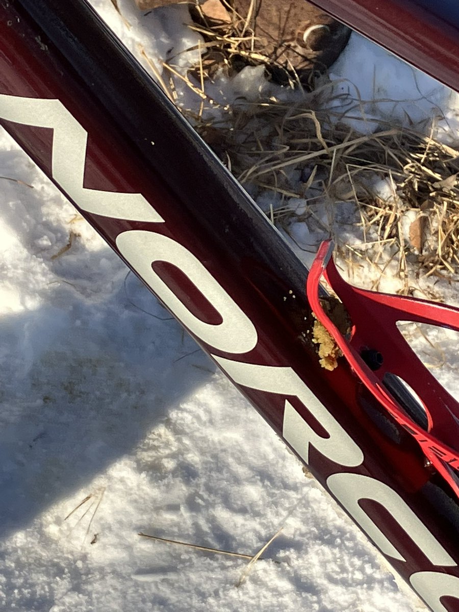 mshreer79's tweet photo. @921citi @Philly_OnAir @joeaiellowpg @ShalindaKirby Speaking of dog poop - this fresh turd narrowly missed getting me in the face this winter - it stuck to my water bottle holder on its way up from my tire while fatbiking in the Assiniboine Forest ๐ฉ๐ #pickupyourpoop https://t.co/k36L1PVEc0