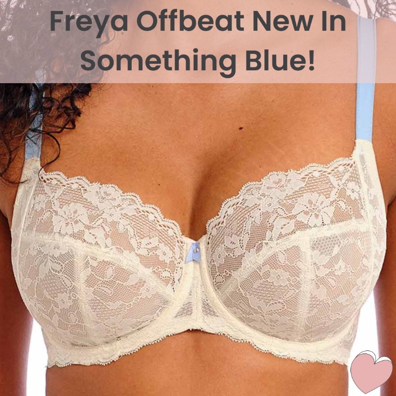 amplebosom on X: New in! Freya Offbeat collection now available in  Something Blue colourway. Made from stretch lace, perfect for a special  occasion. Underwired bra has three sections and a side panel