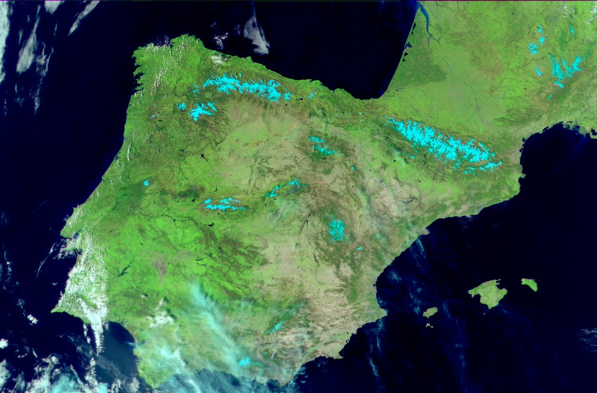 Fred Jansen tweet media