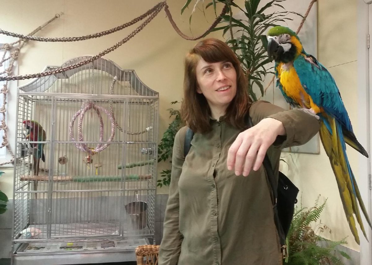 Today's FACETS publication pays tribute to the life and work of Julie Morand-Ferron in this Retrospective paper. "She was a superb scientist and a wonderful human being." ❤️

You can read the Retrospective here: ow.ly/VlX850QTee8

📷 by Chloé Montreuil-Spencer.