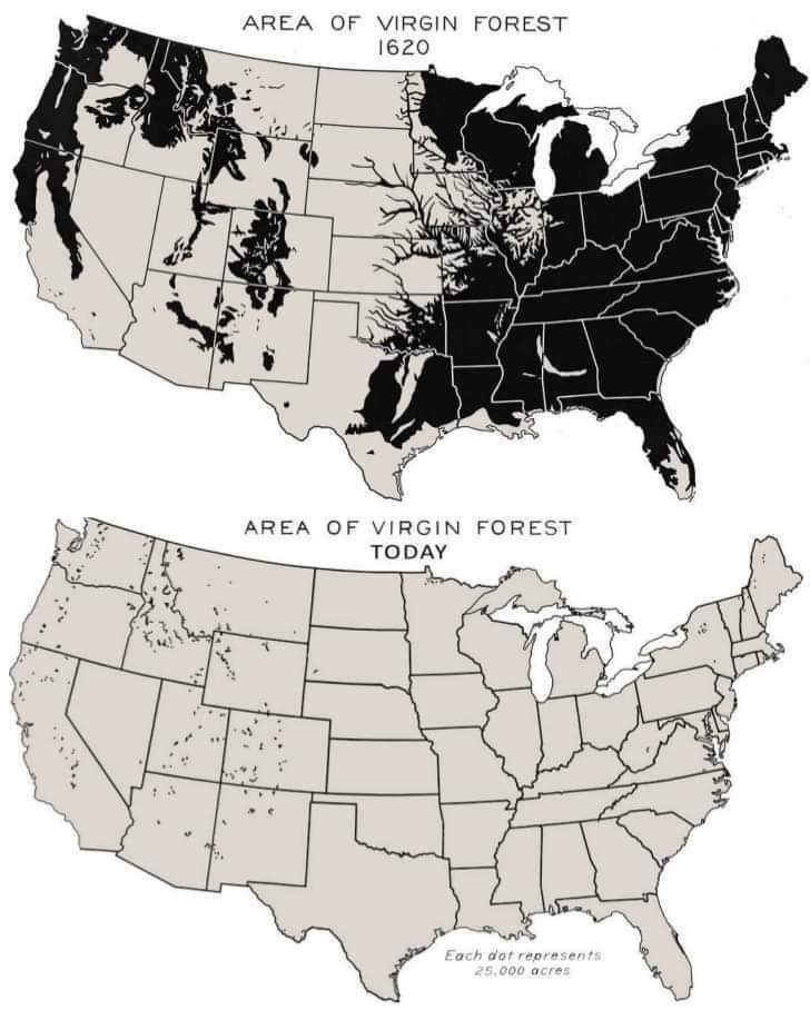 Virgin forest area in 1620 vs today