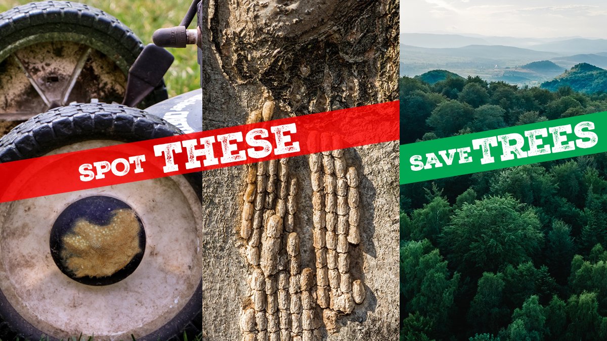 HungryPests tweet media