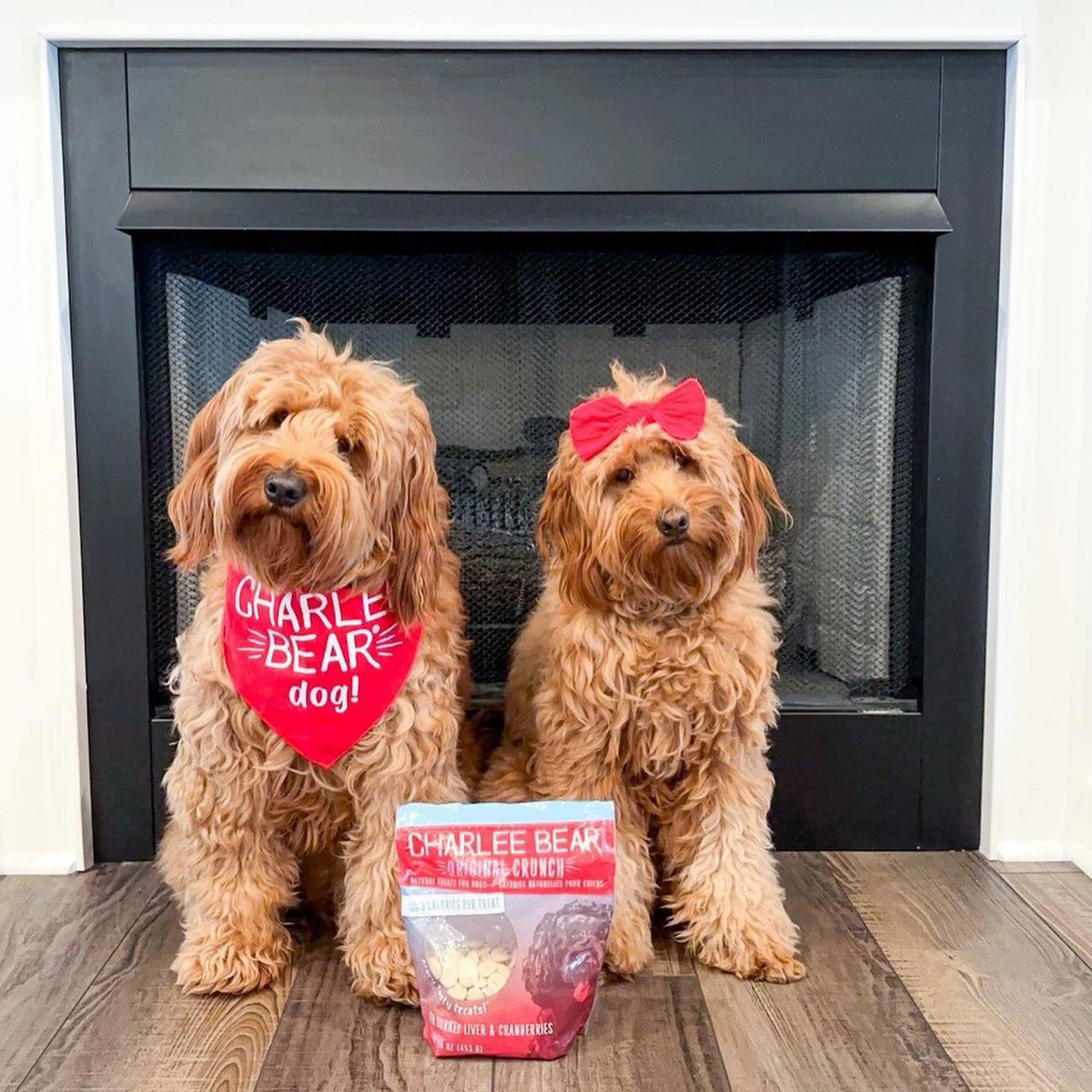 Charlee bear on sale dog treats