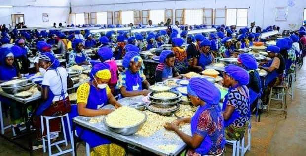 Monafrique8's tweet image. 🥇 En 2022 la Côte d'Ivoire devient le premier producteur mondial de noix de cajou.

Avec plus de 10 usines de transformation d'anacarde le pays crée plus de 100 000 emplois dans le secteur.

Bravo ADO ! 🌰🇨🇮 

#CôtedIvoire #NoixDeCajou #Emplois #gouvci #CIV225