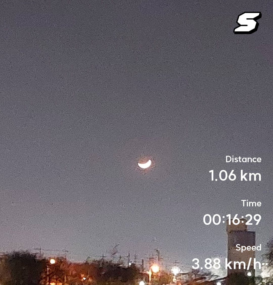 동룡이 tweet media