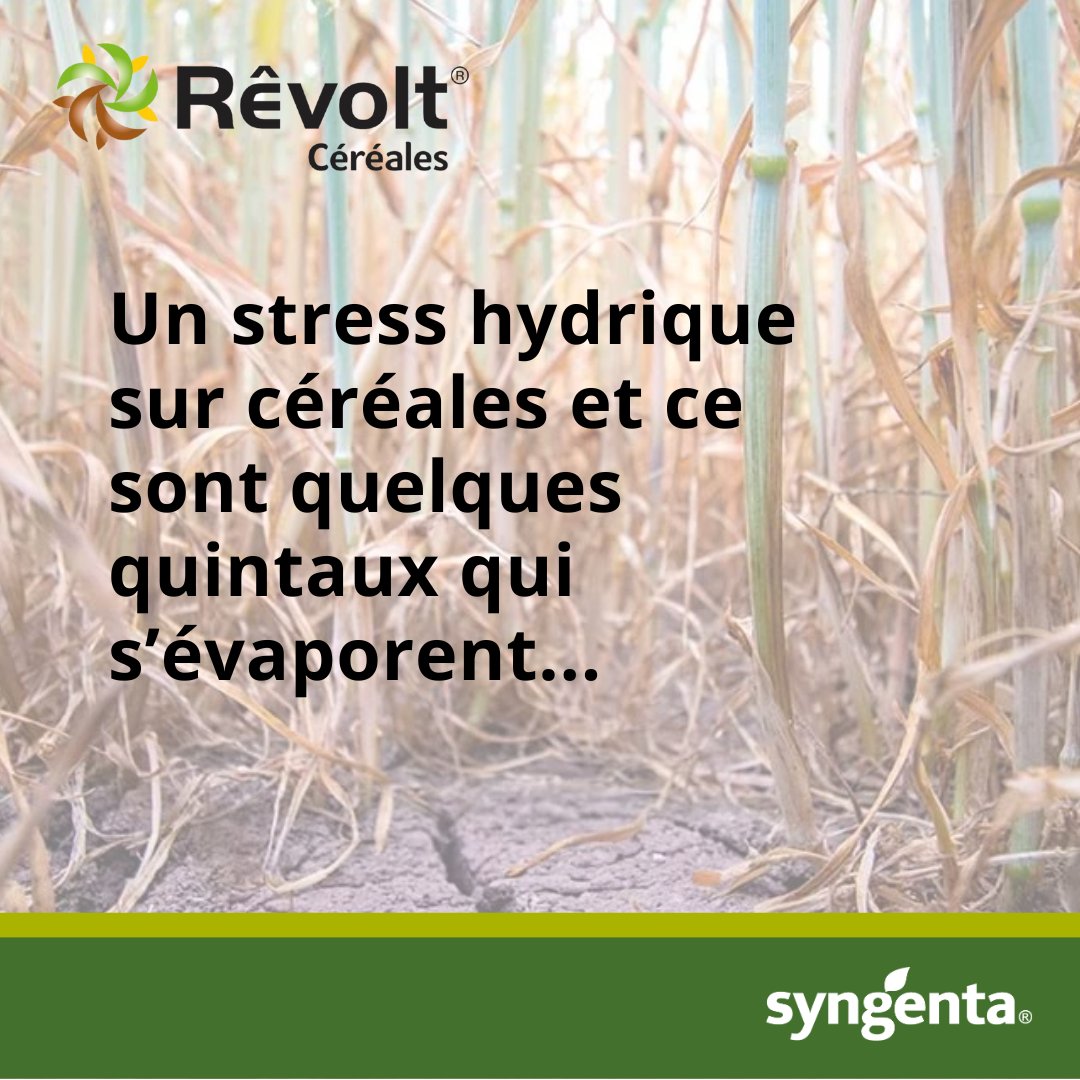 SyngentaFrance tweet media