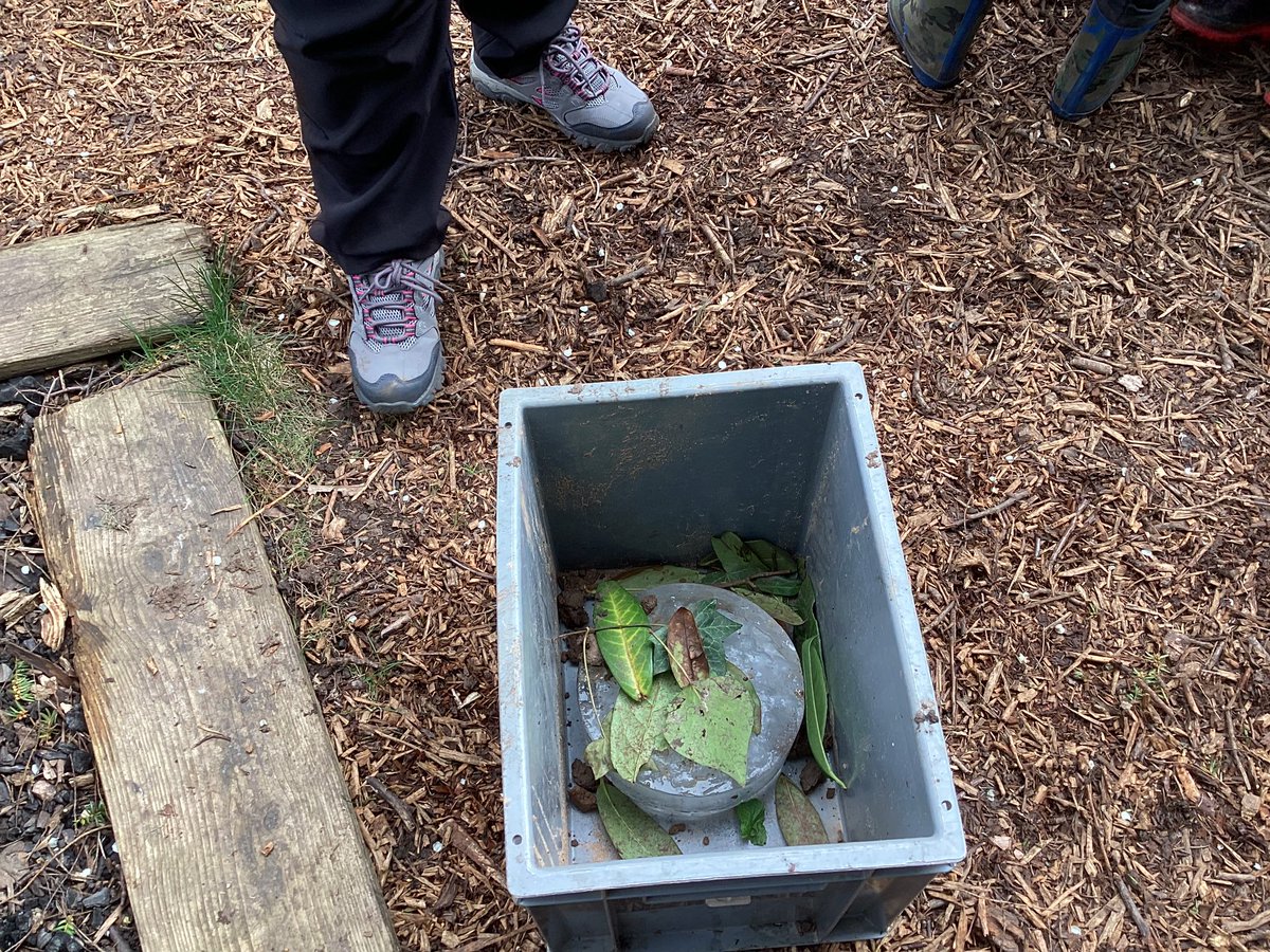 ourladyqop's tweet photo. In Forest School we investigated melting ice as part of #BritishScienceWeek2024 #OLQPReception https://t.co/EA7PHZ9YsF