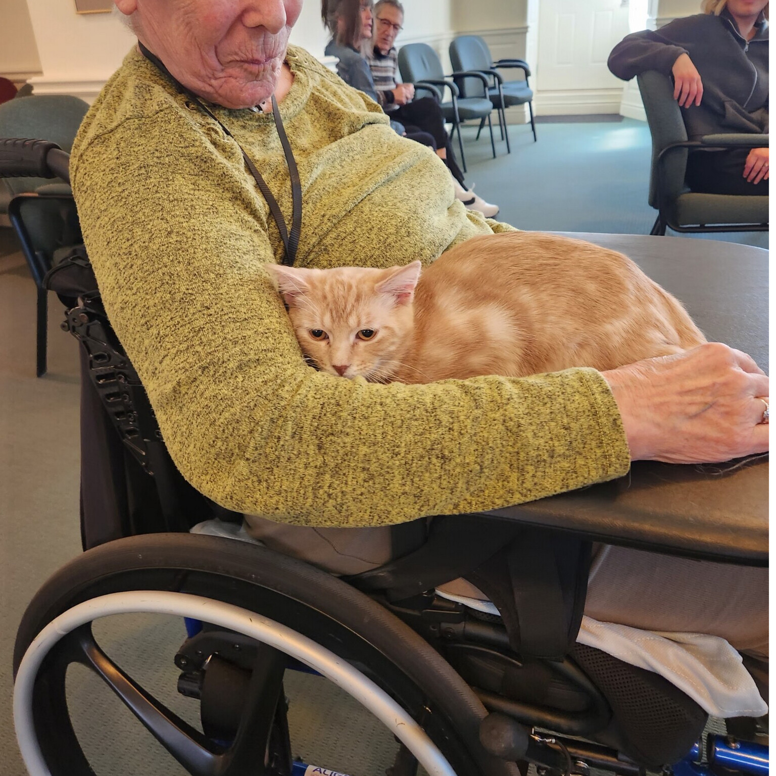 Niagara SPCA Humane Society Niagara SPCA X