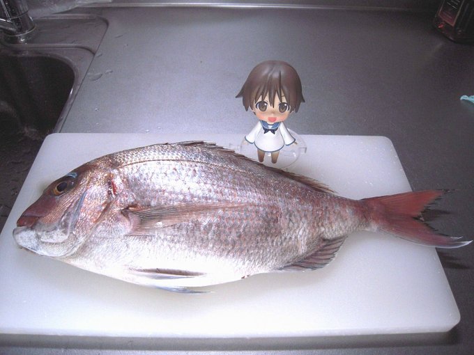 無駄に凝った料理を作り続けた結果「あれだけちょっとづつ副食が付いてる半額弁当のコスパってある意味異常じゃね?」と気付く場合もある。>RT 