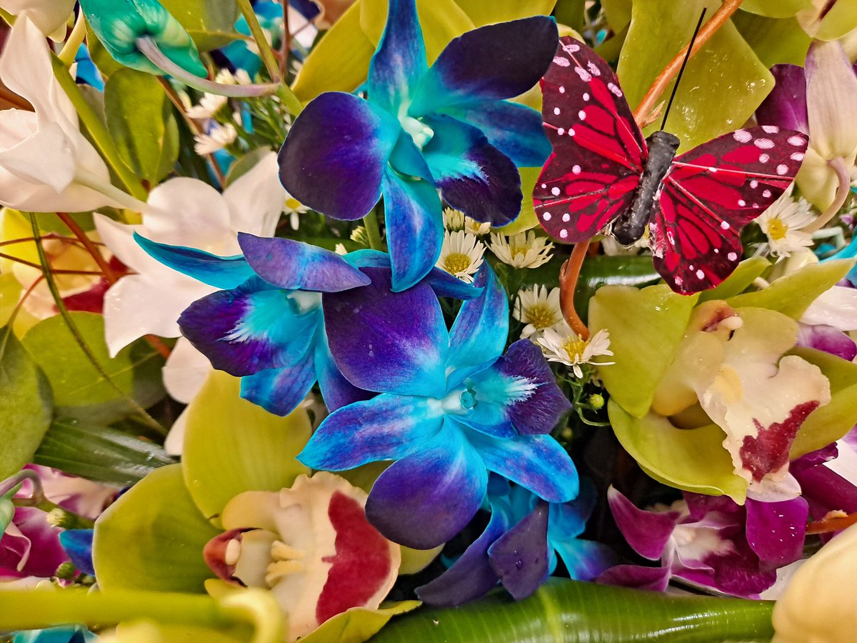 FancyFlowers305's tweet photo. Good morning!  Let's get some deliveries out of the way this morning! 
#Florist #Hialeah #MiamiLakes https://t.co/9CbpuDW8uq