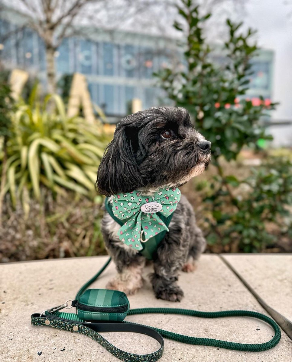 Who let the dogs out? 🐾 Our cutest shopper alert! 😍 @smudgee_fluff