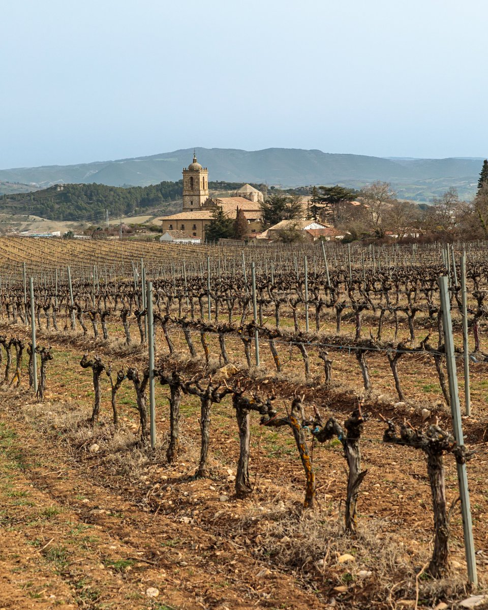 Bodegas Irache, con su legado centenario, continúa sorprendiendo. Su Vino de Pago, Prado de Irache, es una de las joyas más preciadas de su patrimonio. Ubicada en el centro de la provincia de Navarra, Irache encarna la esencia de los vinos de la tierra.

#feelandtaste