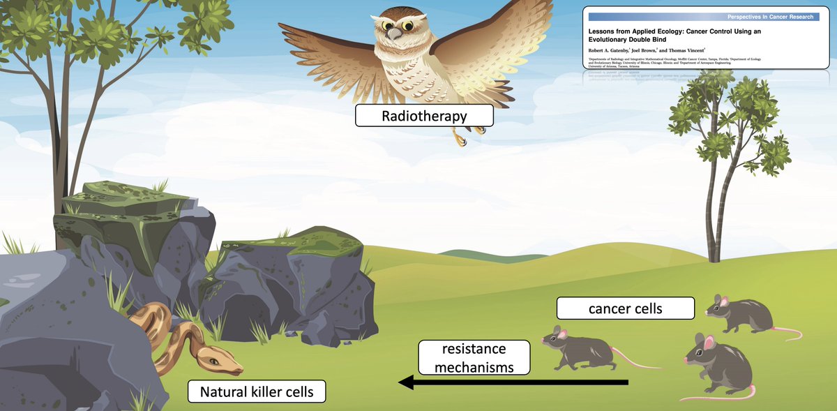 New preprint: 
"Evolutionary double-bind treatment using radiotherapy and NK cell-based immunotherapy in prostate cancer"

Although the concept of an evolutionary double-bind has long been hypothesized in cancer, it has not
been measured. 

Kim Luddy (<a href="/luddyka/">Kimberly Luddy</a>) found one in our