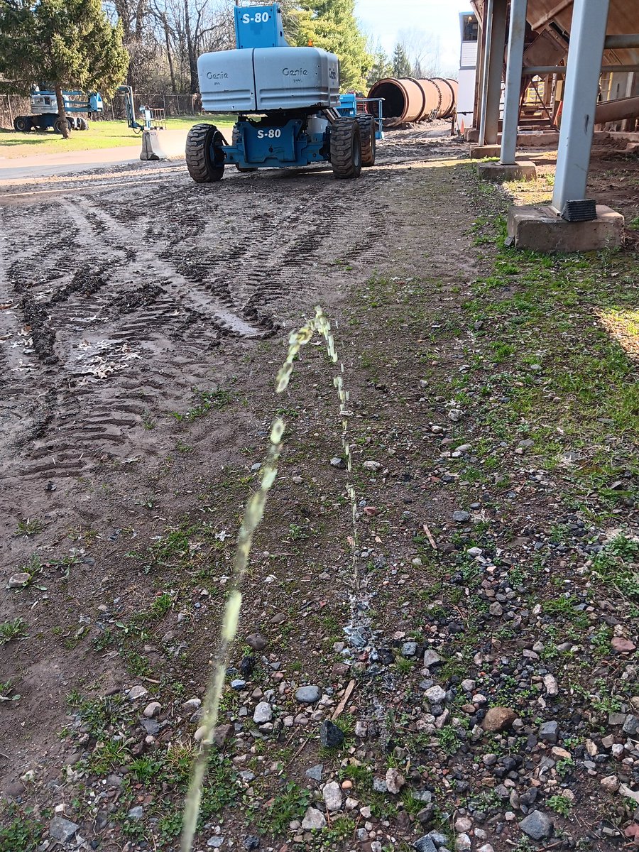 Brizz-Chan (Mr drive) tweet media