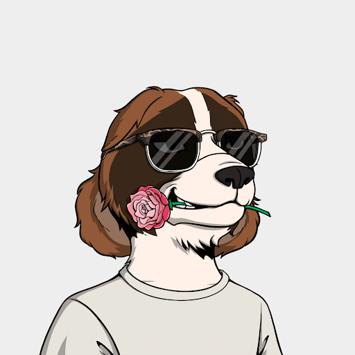 Tank UCD Ⓚ tweet media