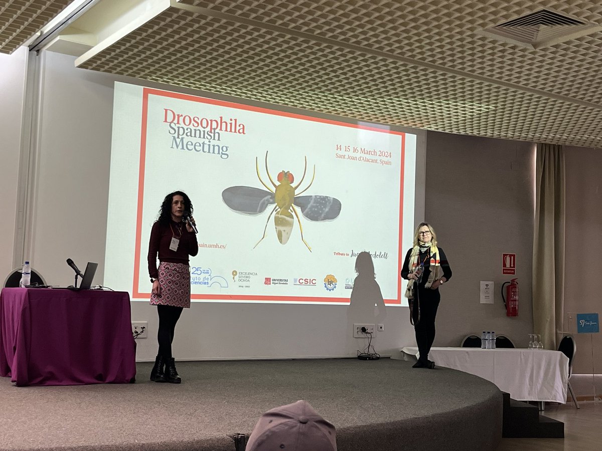 Drosophila Spain tweet media