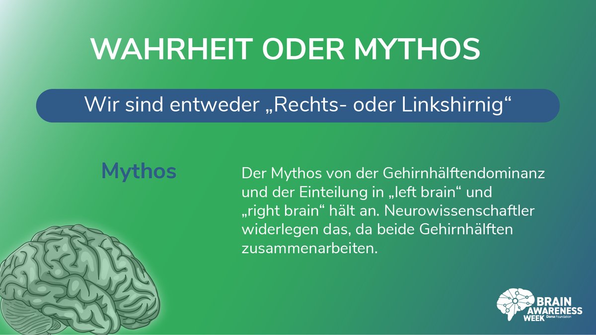 Habt Ihr das gewusst? Den #Mythos der 'Linkshirnigen' (sachlich und analytisch) & 'Rechtshirnigen' (kreativ und künstlerisch) konnten Neurowissenschaftler*innen widerlegen. Denn beide Hirnhälften sind ein starkes Team💪. #BrainAwarenessWeek #BrainWeek