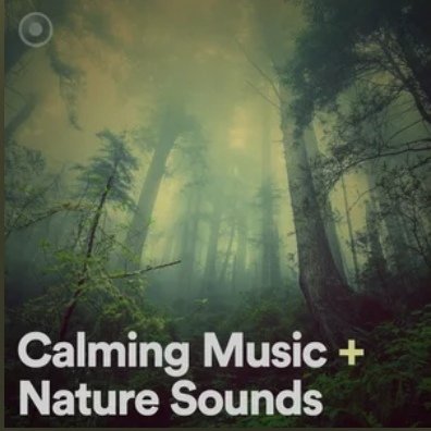 Thank you to Signal Alchemy for adding Night in the Forest (with birds) to this amazing playlist! 🌿 @signal_alchemy #playlist #calmingmusic #naturesounds #ambient open.spotify.com/playlist/2sWwK…