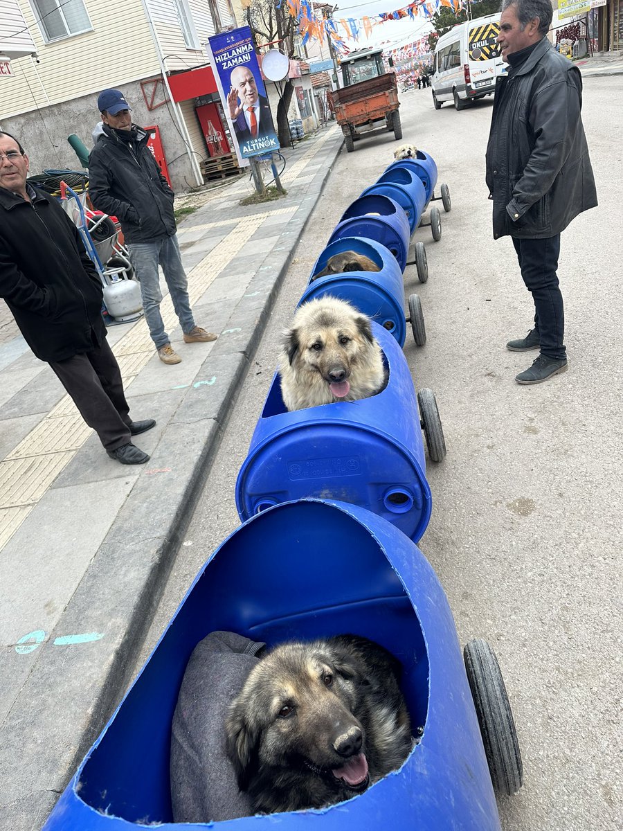 Ne güzel dualar mesajlar gönderiyorsunuz gerçekten teşekkür ederim duygulandırdınız beni çok sağolun birazcık yüzleriniz gülebildiyse ne mutlu bana 🙏🏻🥹 Eğer bu canların yüzleri gülüyorsa sizler sayesinde destekleriniz sayesinde sağolun varolun 🙏🏻🩵