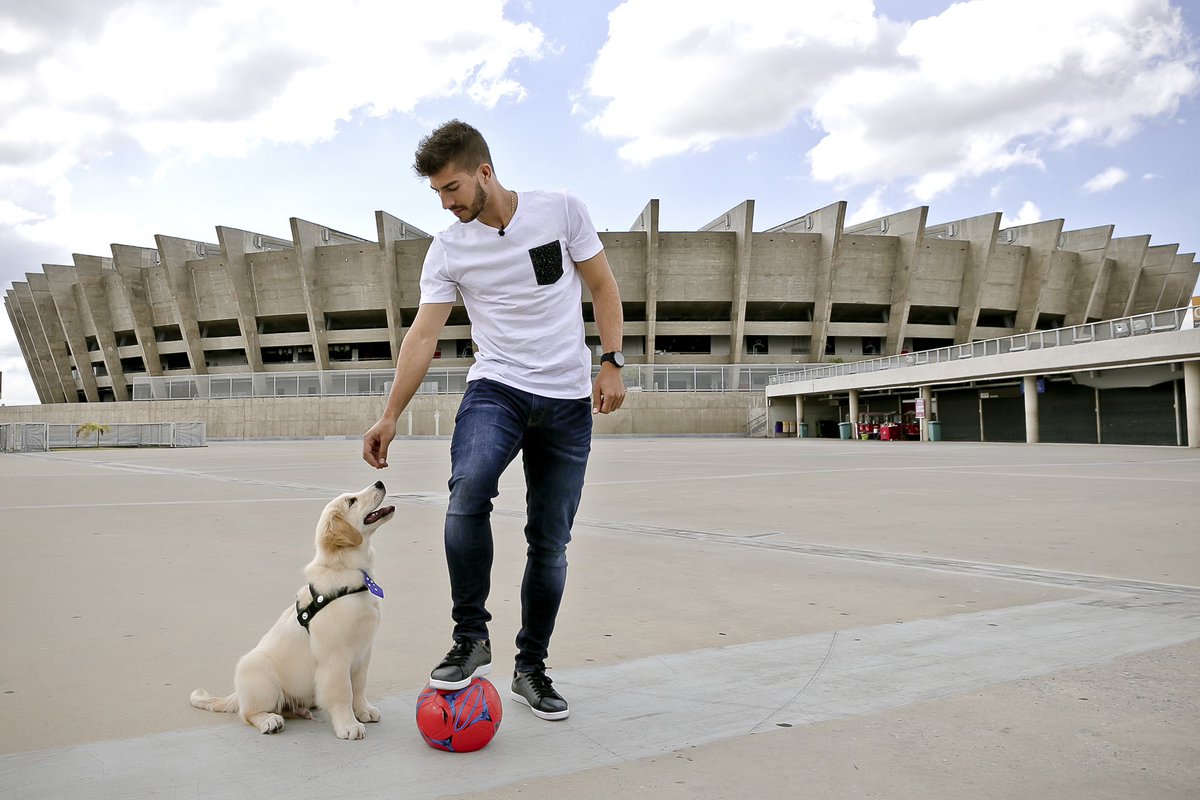 Mineirao tweet picture