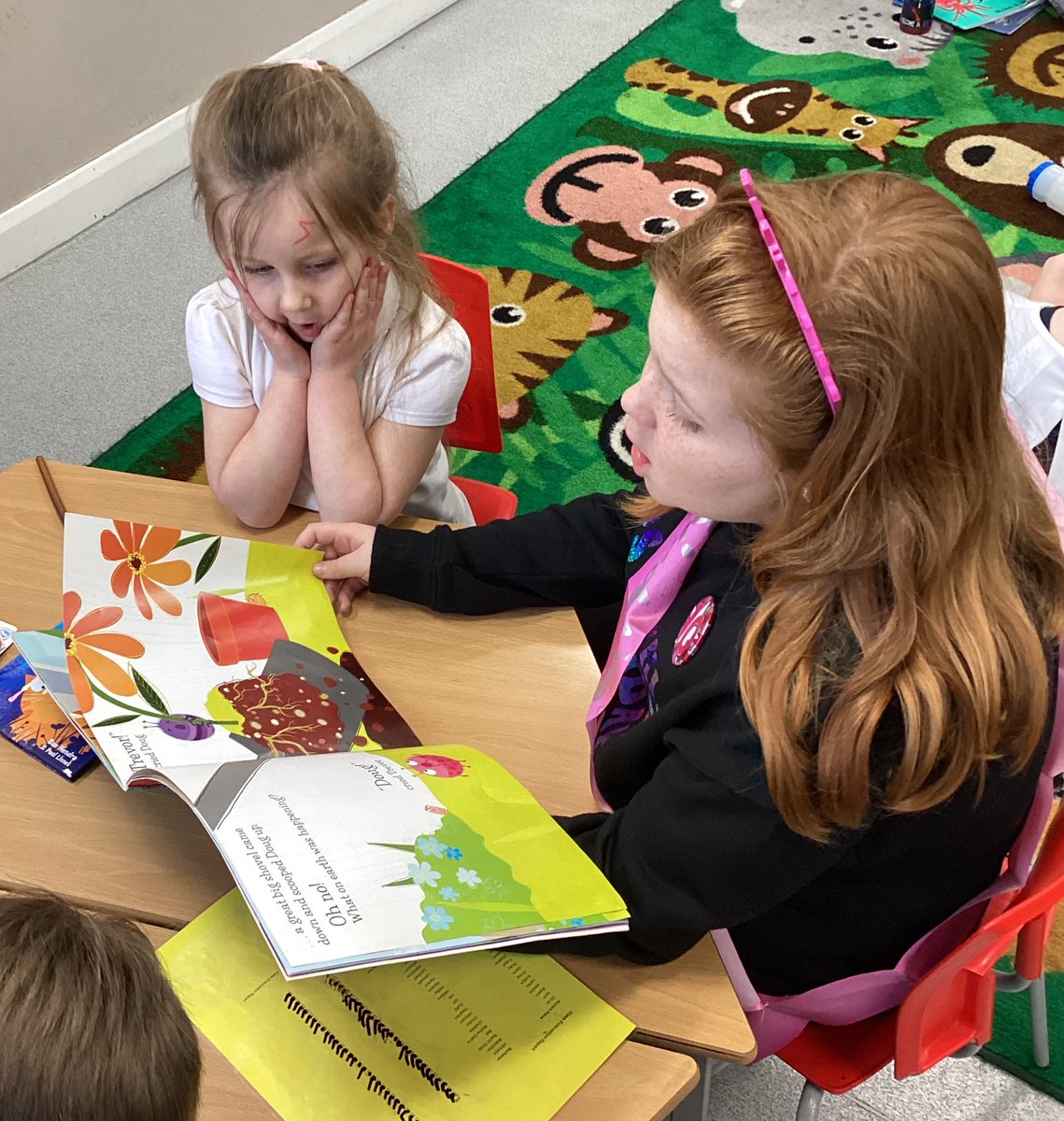 Tang Hall Wrens tweet media