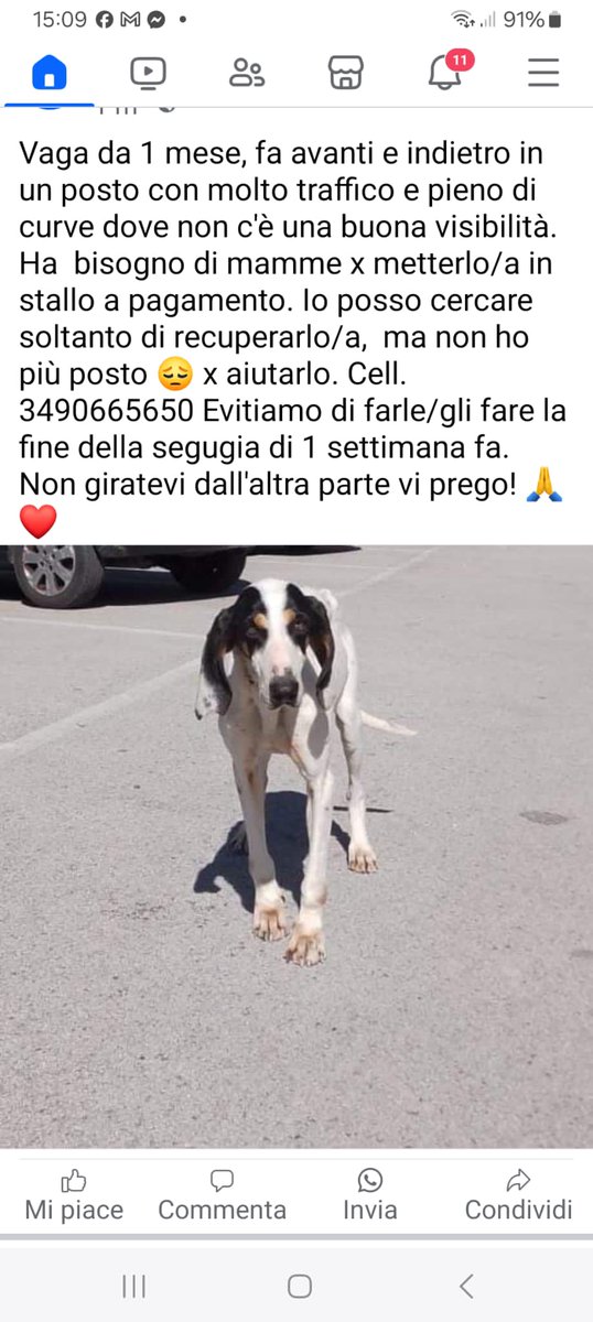 RT RT RT RT RT ♥️♥️♥️♥️♥️🙏♥️🙏🙏♥️♥️🙏♥️🙏🙏♥️