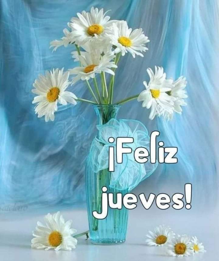 Que esté nuevo día nos traiga cosas lindas, alegría y ganas de disfrutar la vida, cada momento!!! 😃🌹