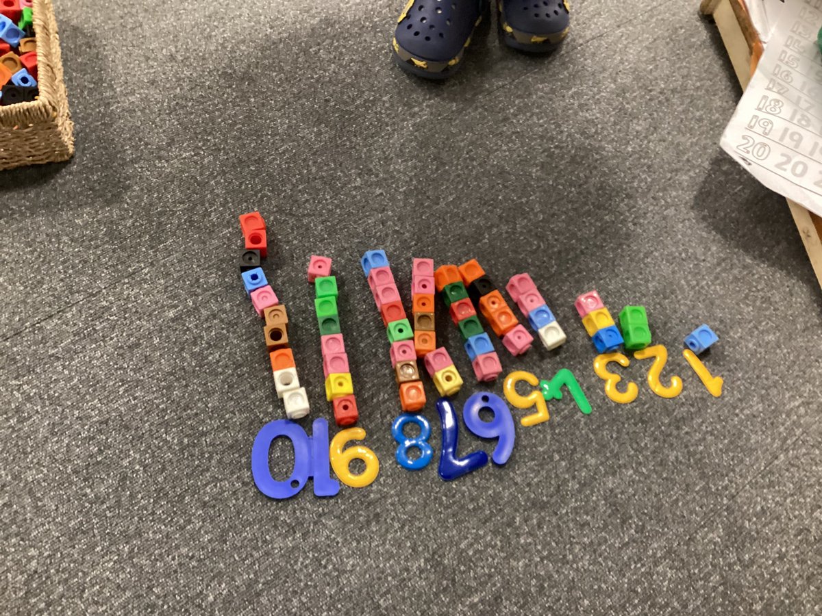 Tang Hall Wrens tweet media