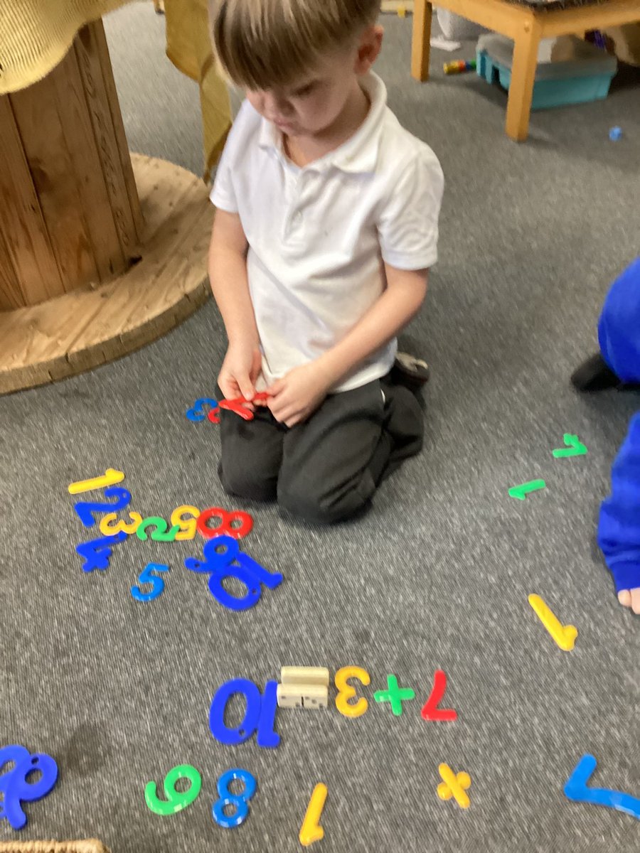 Tang Hall Wrens tweet media