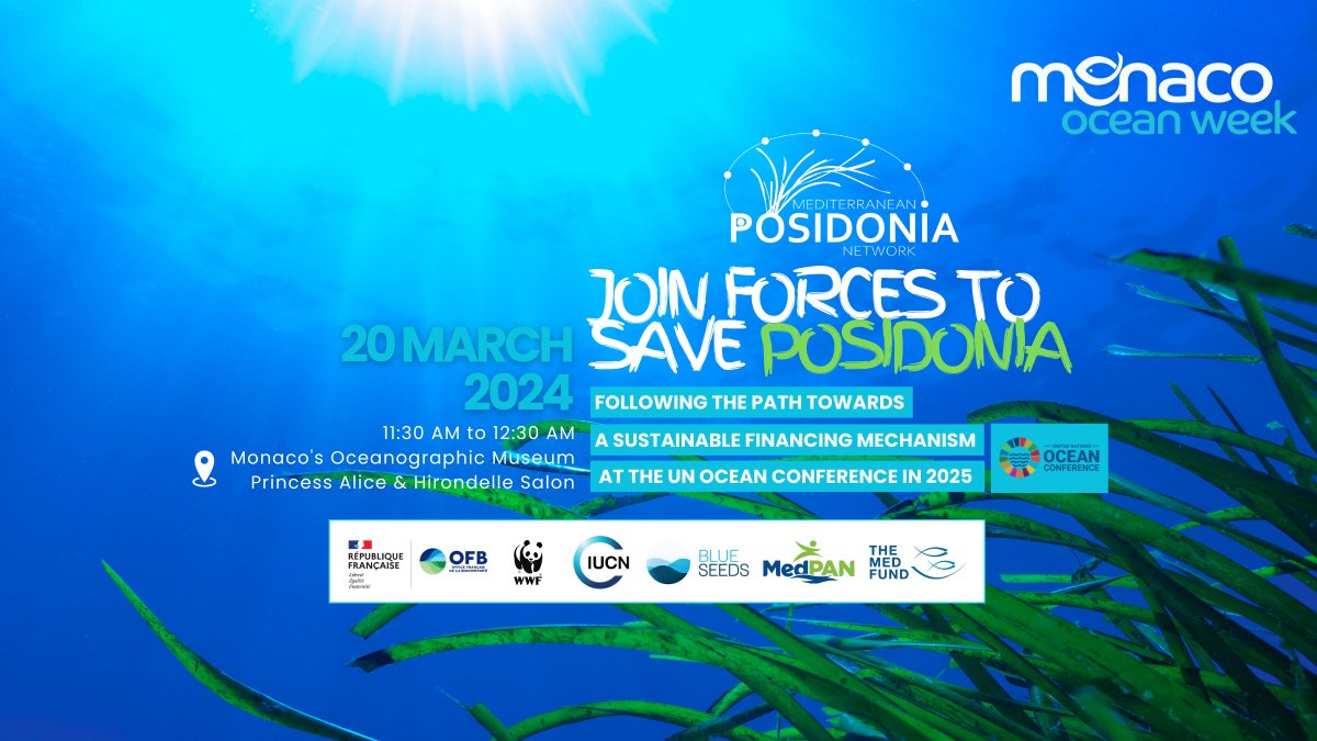 The Mediterranean Posidonia Network is organising a round table next Wednesday at #MonacoOceanWeek!