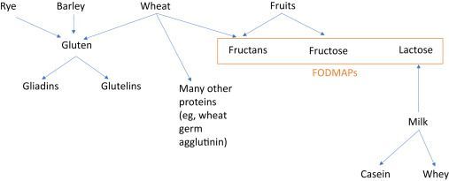 In Current Issue! #Nonallergic #Diseases Associated With #Foods 
buff.ly/3TvVN99
