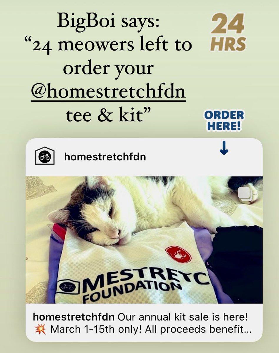 24hr left to order your @HomestretchFdn kit / jersey / tees which means resorting to cat pics & puns! Thanks all. Order here: homestretchfoundation.org/shop