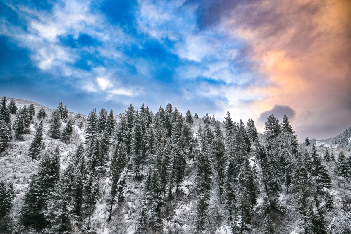 Morning in a chilly Provo Canyon today.

#morning #sunrise #clouds #winter #snow #trees #provocanyon #cold #weather #utwx #photography #utphoto #nature #morninglight #utah #beaUTAHful #utahisbeautiful #mountains @provocity @UtahIsAwesome #outdoors #sky #exploreutahvalley