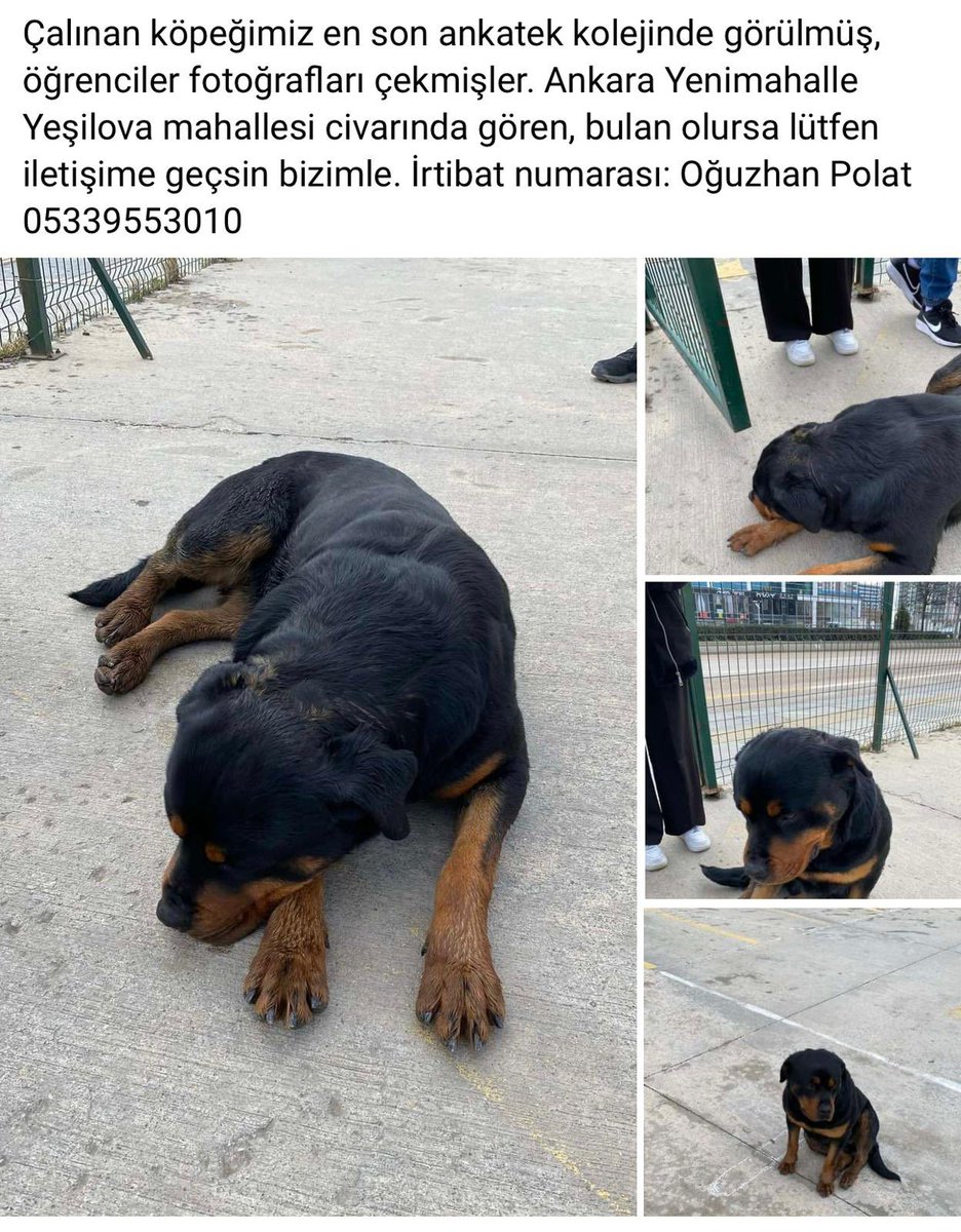 AybasOzgur's tweet image. 