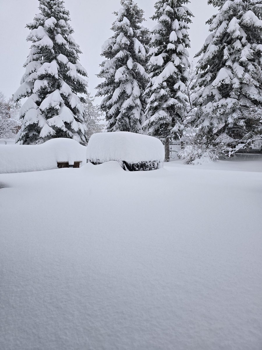 Jacob Carlson tweet media