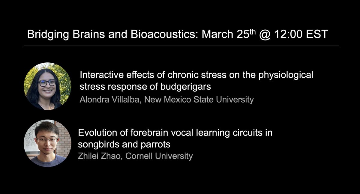 Bridging Brains and Bioacoustics (@braincoustics) on Twitter photo New BBB seminar!
Join us on March 25th to learn all about vocal communication in Budgerigars from <a href="/zhaozhilei/">Zhilei Zhao</a> and Alondra Villalba 🦜🦜🦜
🗓️March 25th @ 12:00pm EST
✅ Register here: braincoustics.com New BBB seminar!
Join us on March 25th to learn all about vocal communication in Budgerigars from <a href="/zhaozhilei/">Zhilei Zhao</a> and Alondra Villalba 🦜🦜🦜
🗓️March 25th @ 12:00pm EST
✅ Register here: braincoustics.com