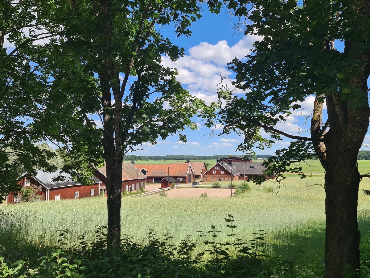 Malmgårdin Kartanopuoti etsii kesäntyöntekijöitä kesäksi 2024 / Malmgårds Gårdsbutik söker sommarjobbare för sommaren 2024

Lisätietoja/Tilläggsinformation: malmgard.fi/start/article-…