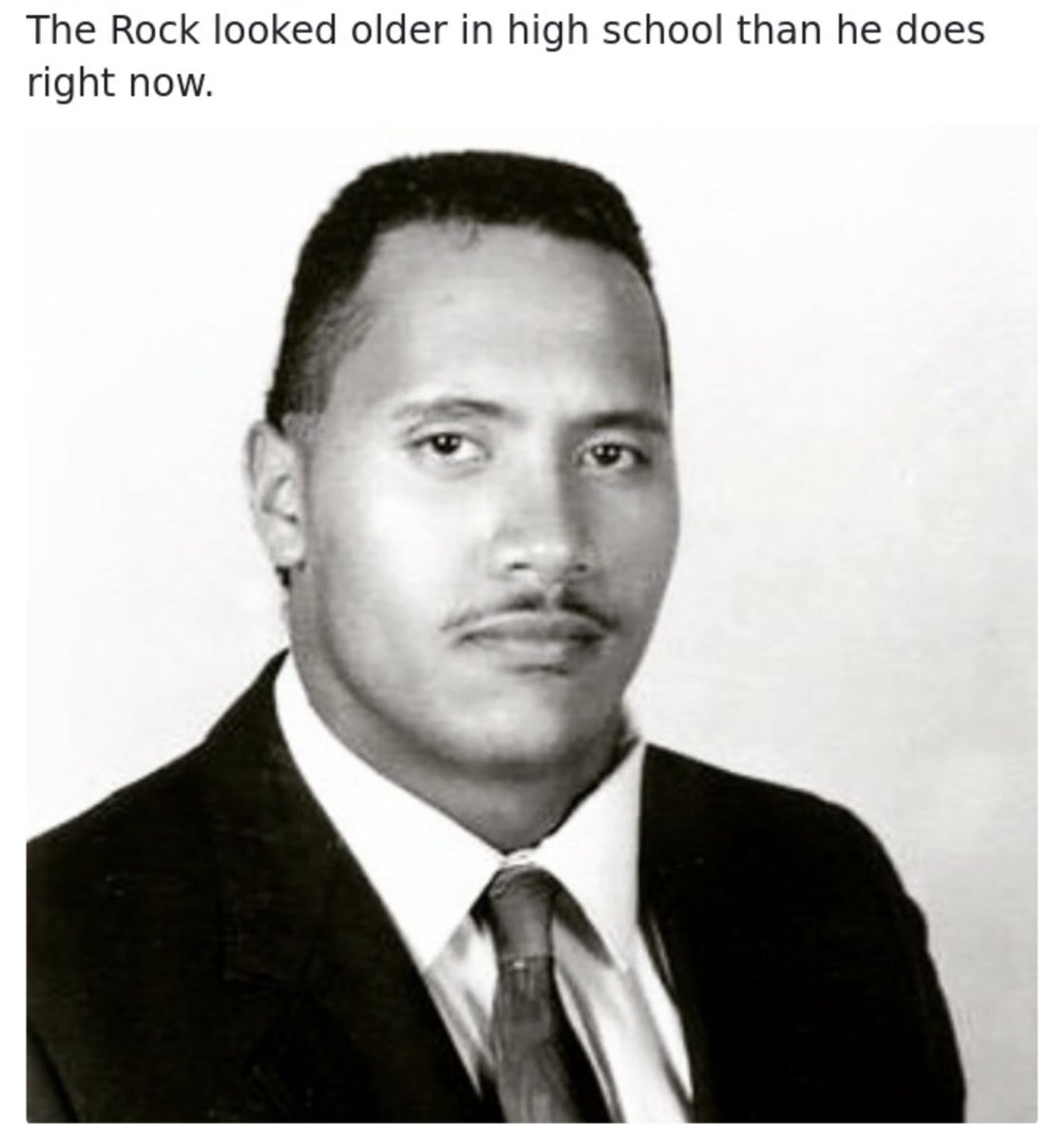 Leonora Milan tweet media