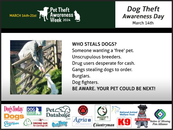 March14th is #dogtheftawarenessday and the beginning of #PetTheftAwarenessWeek
Consider how and why dog thieves steal pets.
What could deter someone from stealing your dog?
Is your dog's microchip working and are all details up-to-date?
petitions.senedd.wales/petitions/2461…
#MakeChipsCount