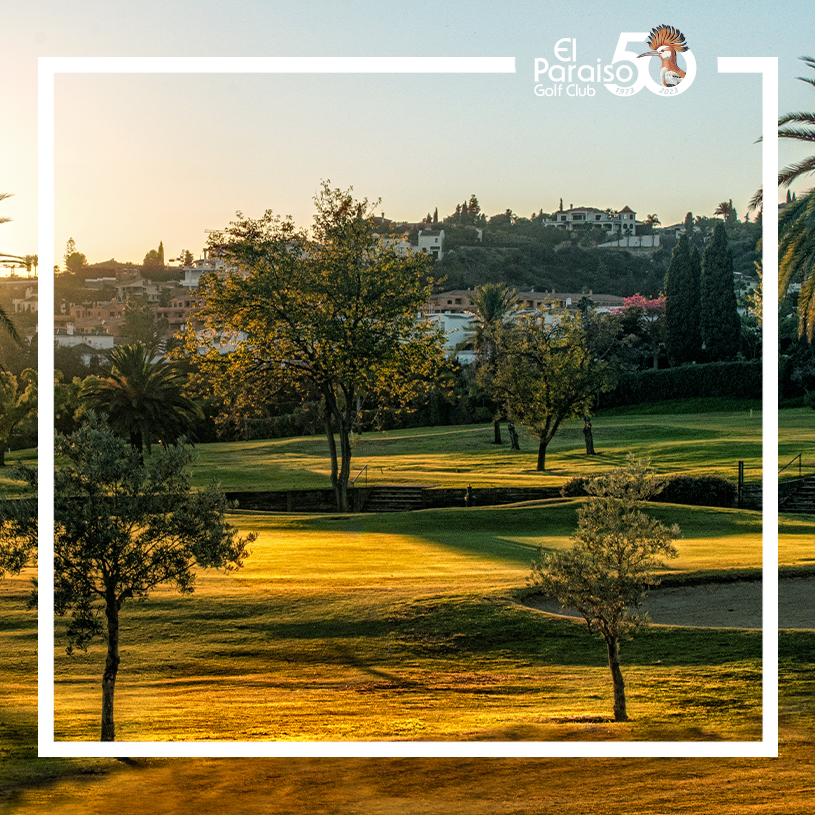 Las mejores puestas de sol de Málaga 🏌️⛳️ ¡Disfruta de un día de golf inolvidable! 🤗
The best sunsets in Malaga 🏌️⛳️ Enjoy an unforgettable day of golf!🤗

🌐 elparaisogolf.com 
#golf #estepona #spain #CostadelSol #golfcourseview #golfcourse #marbella #vivecostadelsol