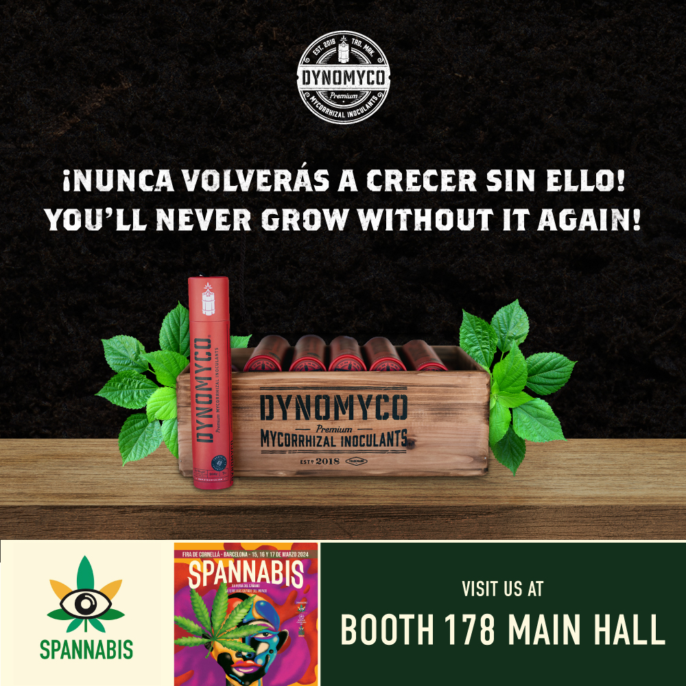 🧨Spannabis 2024, DYNOMYCO Esta En Camino🧨 Hey DYNOMYCOmmunity! 👋 We're going to be in Spain for #Spannabis , from March 15-17! We'll be joining the one and only @ElBruixot at Booth 178. Come visit us and grab some samples, swag and other goodies! #mycorhiza #dynomyco #fungi