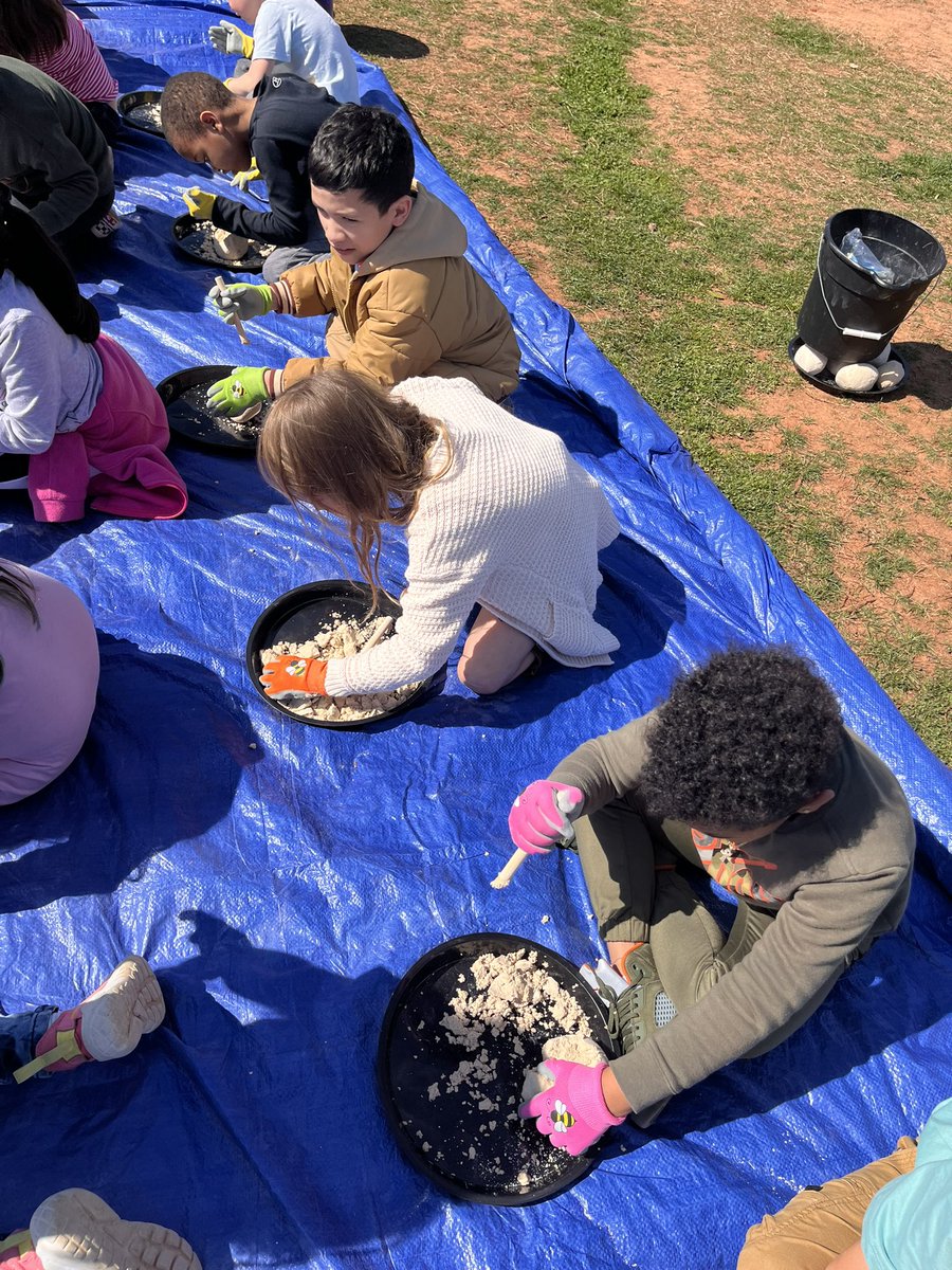 LearnWithMay's tweet image. Yesterday we had Rosie the Raptor join us at @SedgeGardenES for a 1st grade in school field trip! It was so much fun.