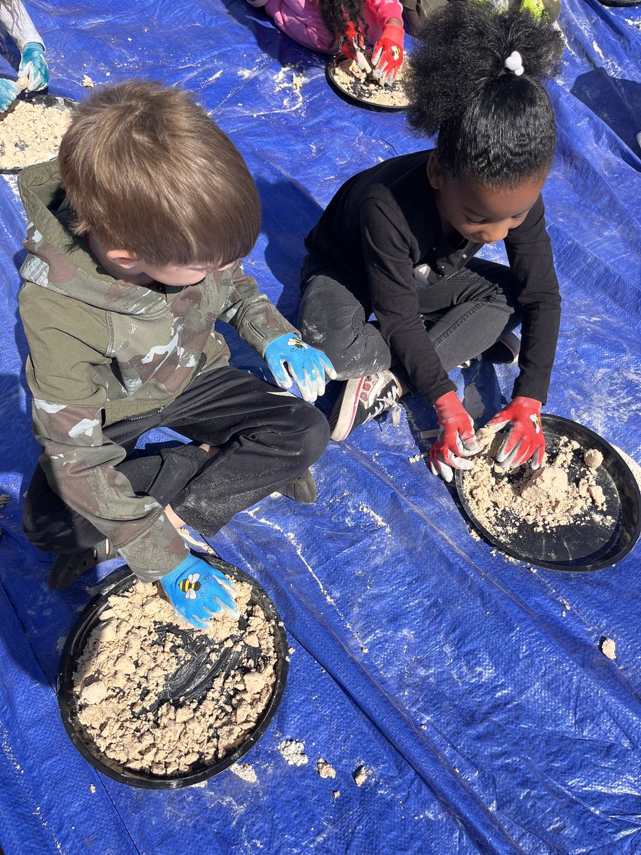 LearnWithMay's tweet image. Yesterday we had Rosie the Raptor join us at @SedgeGardenES for a 1st grade in school field trip! It was so much fun.