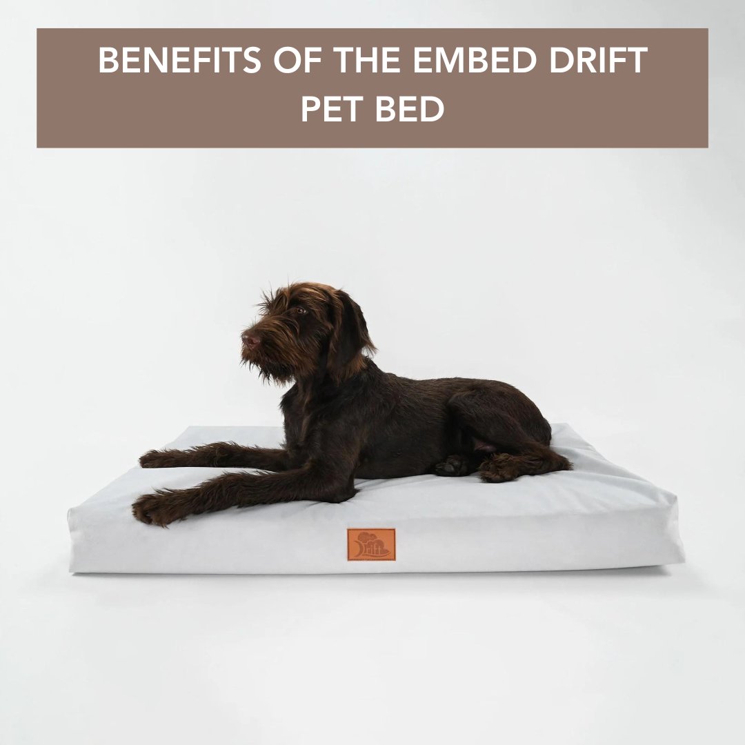 AnimalOrthocare's tweet image. Experience the support of our Embed Drift Pet Bed to help your dog heal! 🐾🦴🐕️🐶❤️🩹
#animalorthocare #aoc #embed #petbed #pemf #pemftherapy #healing #recovery #relax #doghealth #pethealth