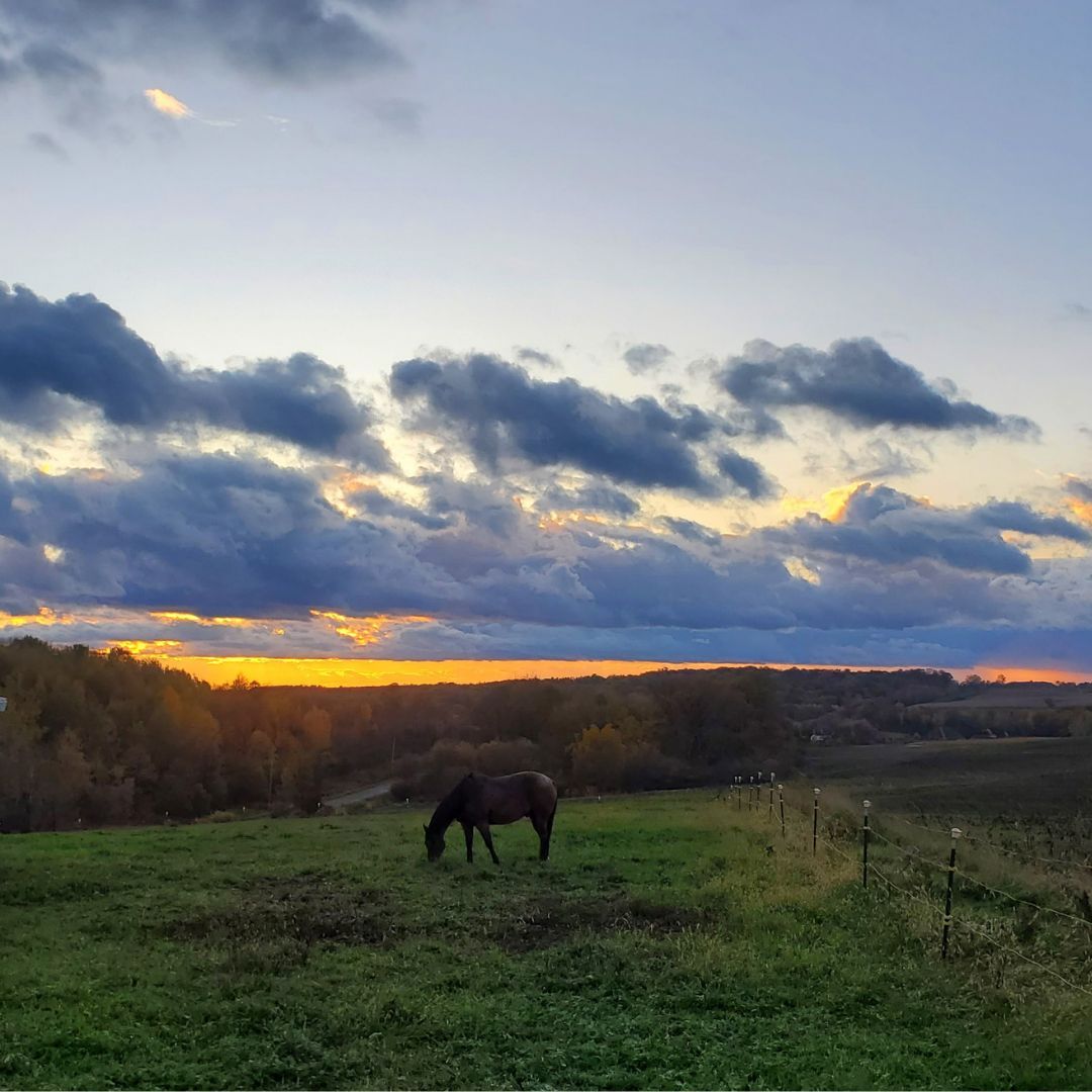 Gosh I love a calm, cool Wisconsin sunset afternoon!!

#ChippewaCountySunsets #Wisconsin #Nature #SunsetVibes #sunset #RealEstate #ChippewaRealEstate #WisconsinRealEstate #DreamHome #RealEstateDreams #CountrysideLiving