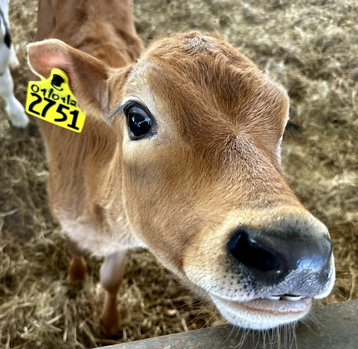 Stefan W. Freeman tweet media