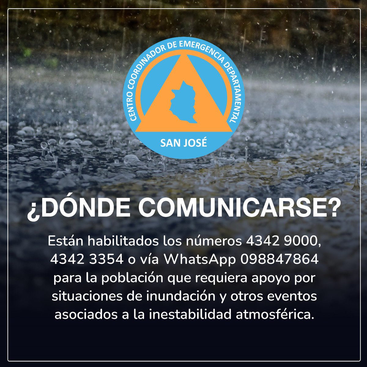 Ana Maria Bentaberri (@abentaberri) on Twitter photo 